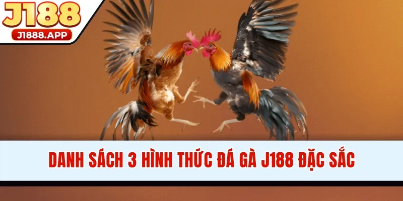 Danh sách 3 hình thức đá gà J188 đặc sắc